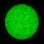 Diffractive homogenizer