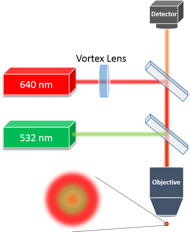 Schematic setup of STED microscope optical system