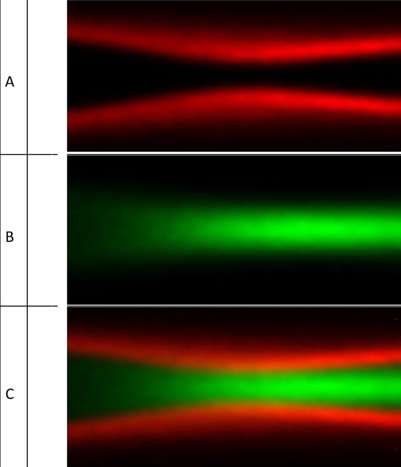 DOF simulation of the STED system