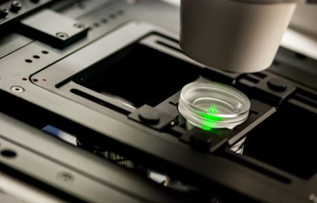 Confocal Microscopy Using Laser Beam Splitters: Diffractive Beam Splitter Use Case