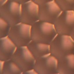 Broadband diffuser microstructure Broadband diffuser microstructure