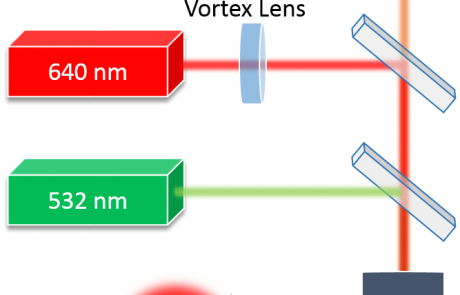 Vortex plate application case study – STED Microscopy
